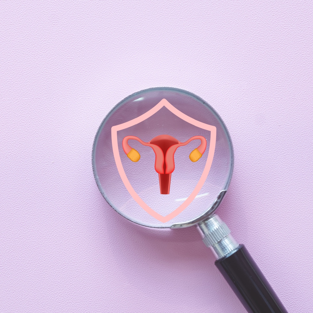 A graphic of a woman's reproductive system